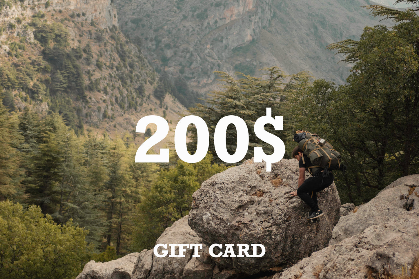 The Gift Card