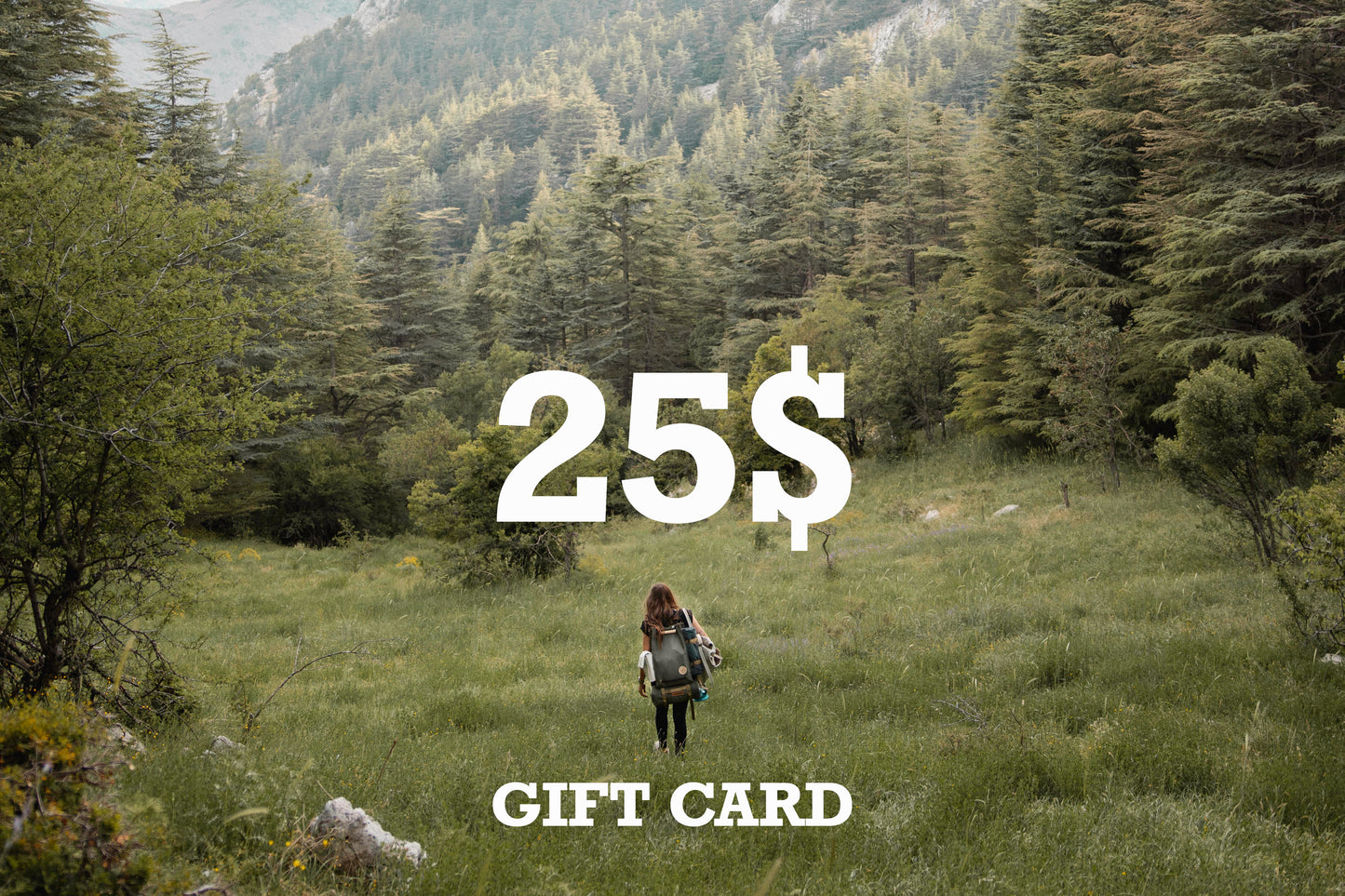 The Gift Card