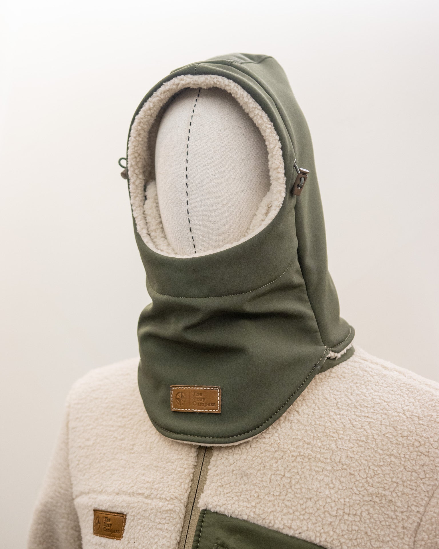 The Arctic Shield