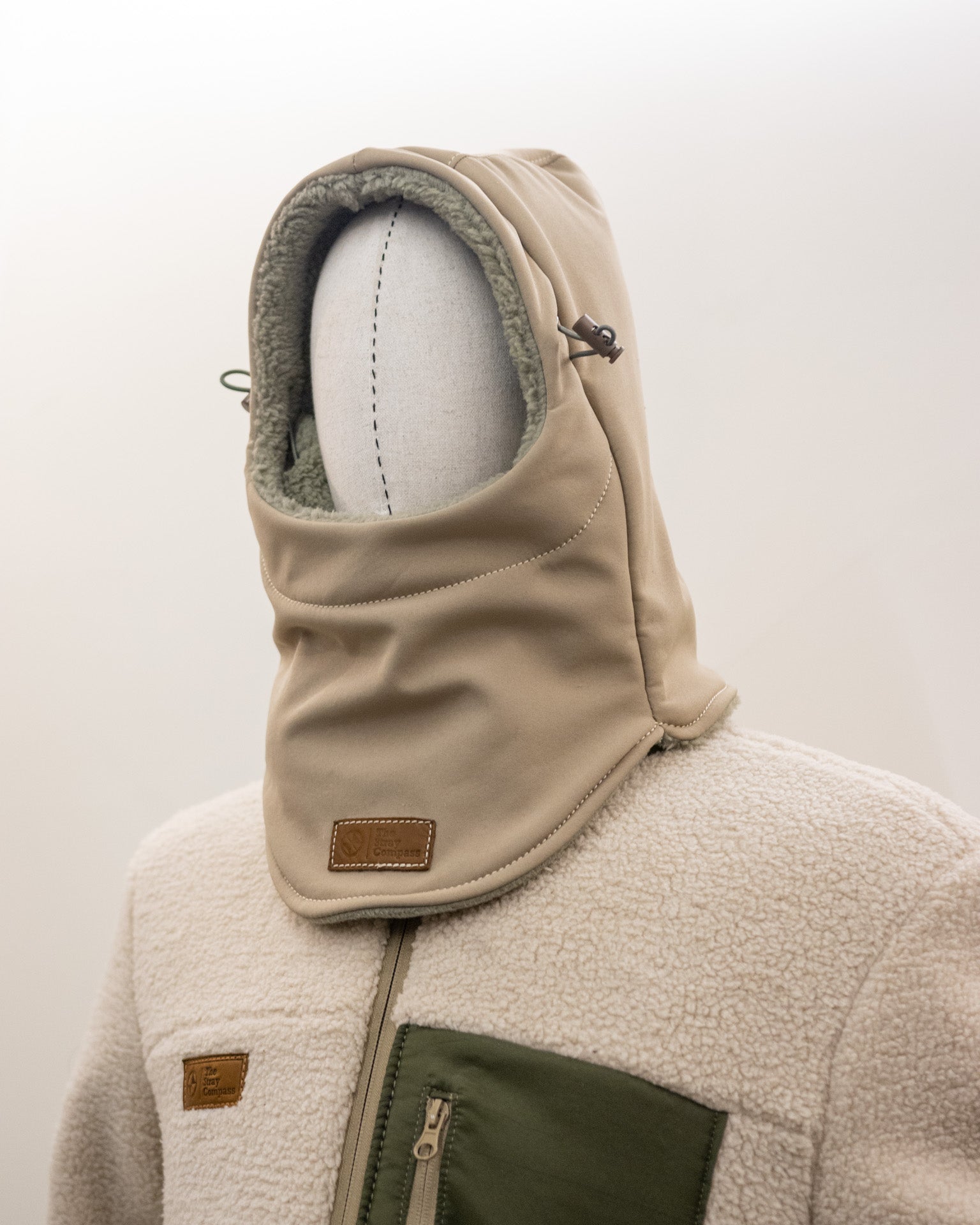 The Arctic Shield